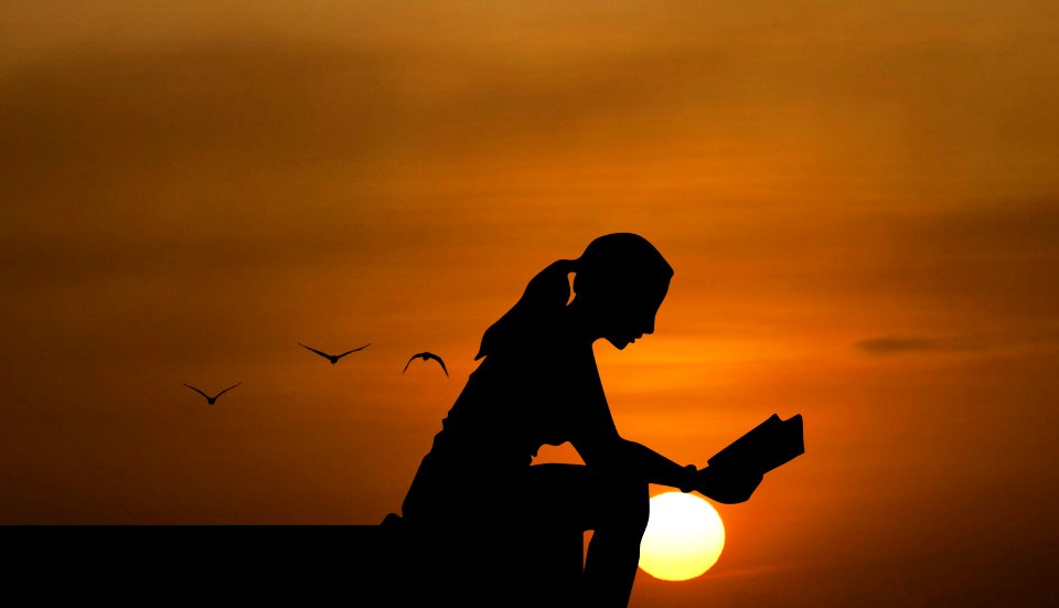Silhouette of Woman Reading at Dusk