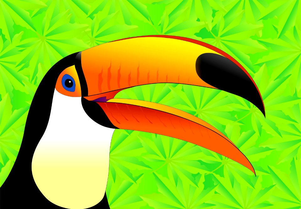 Toucan Beak Fauna Bird