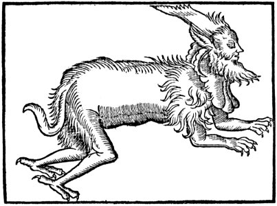 Creature In Black And White