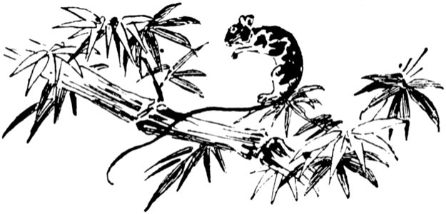 Plant Branch Twig Art
