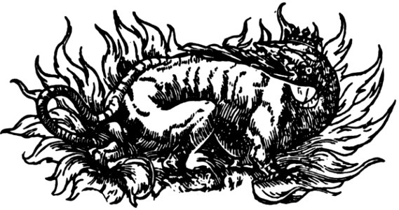 Lizard Or Monster Illustration