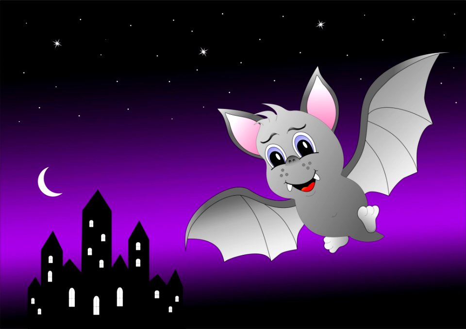 Black Purple Mammal Vertebrate