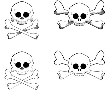 Black And White Bone Vertebrate Line Art