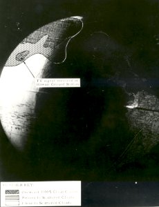 Explanatory Image Of The First Explorer VI Picture Of Earth
