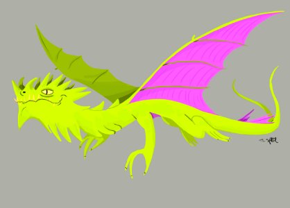 Practice 4