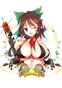 She's "Utsuho Reiuji" From Touhou.