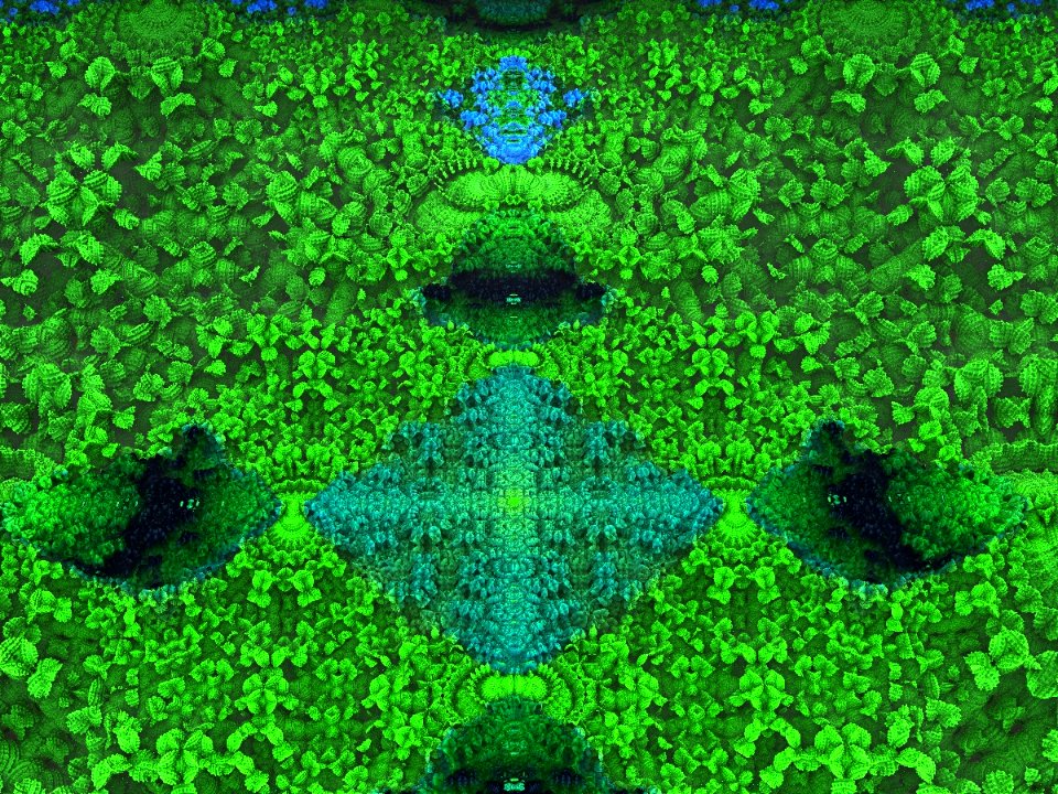 Venusian garden