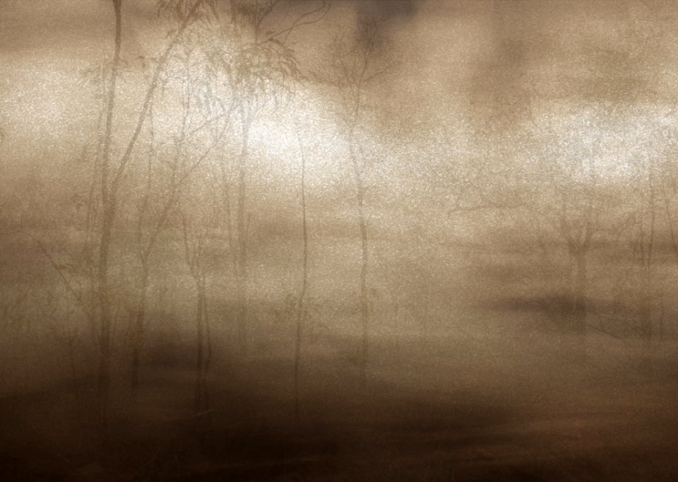 Free Texture By Tóta.