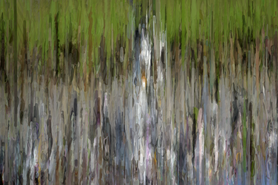 Free Texture by Tóta.