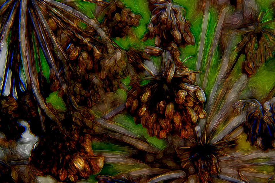 Free Texture By Tóta.