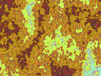 color variations 175