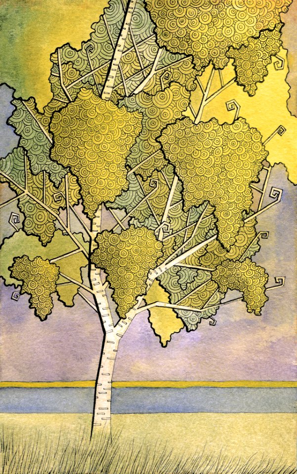 Birch tree by the River