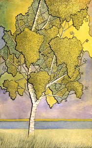 Birch tree by the River