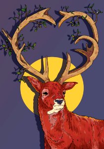 Dasher deer sun