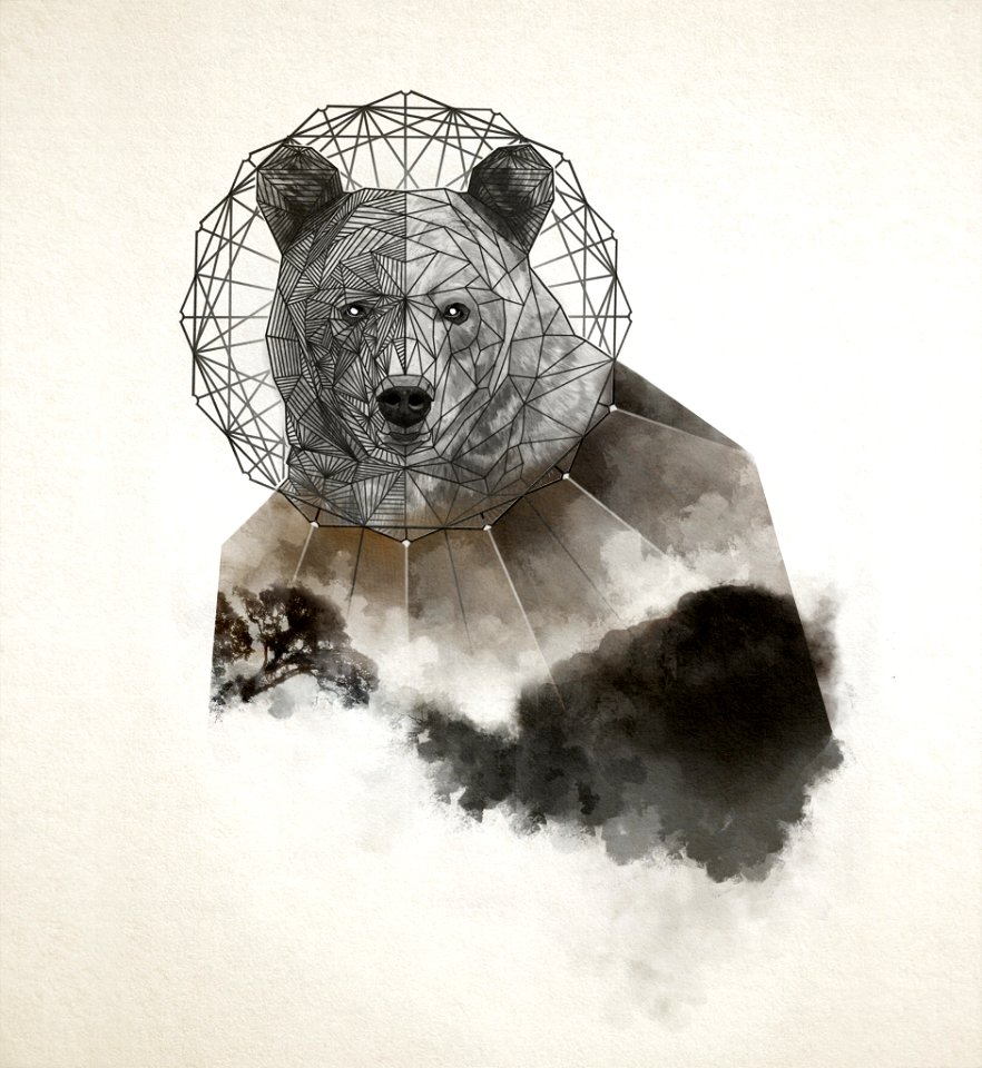 Geo Bear