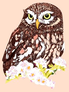 Howdy owl