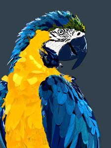 Olá! parrot