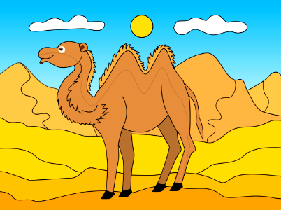 Camel