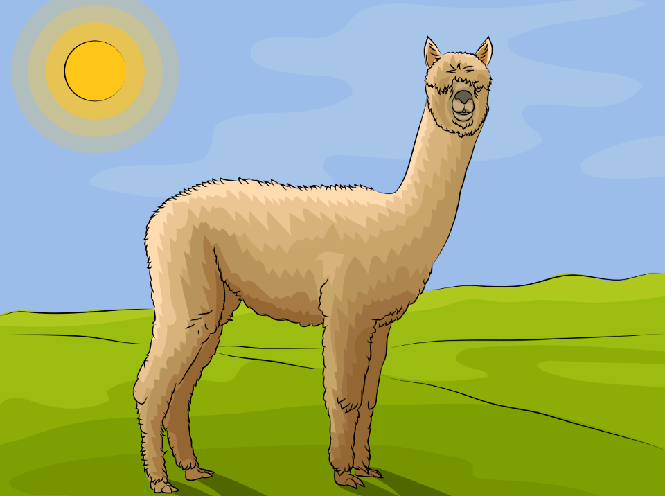 Alpaca