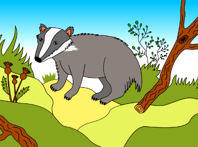 Badger