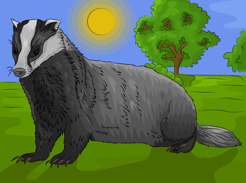 Badger