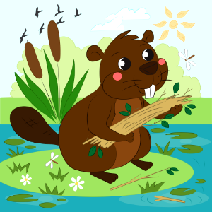 Beaver