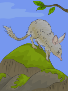 Bilby
