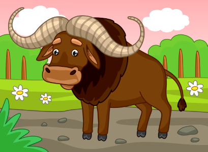 Buffalo