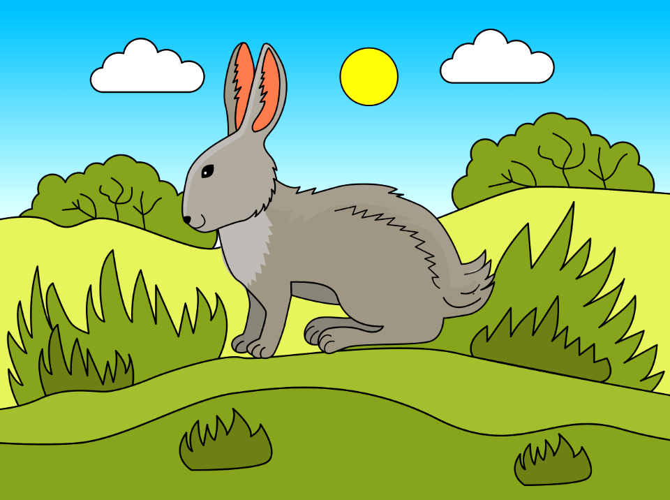 Bunny