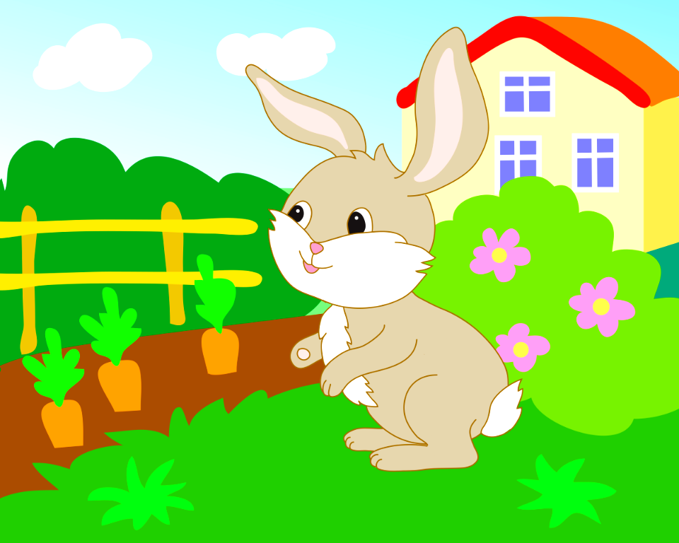 Bunny