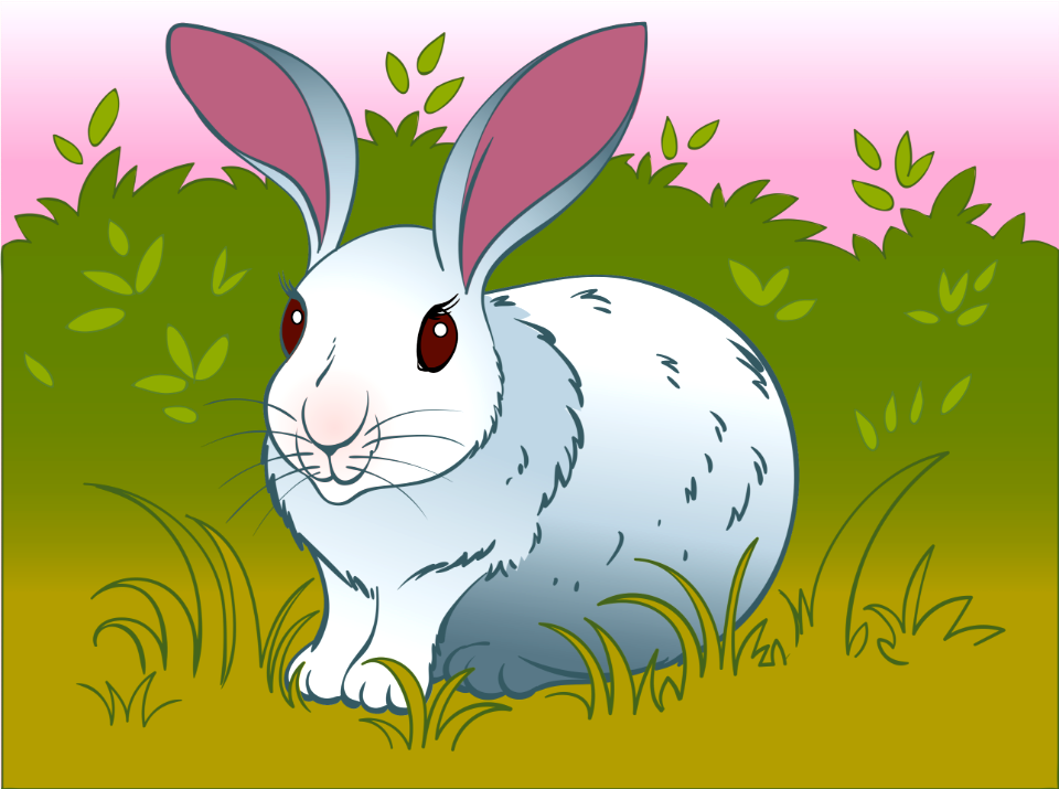 Bunny