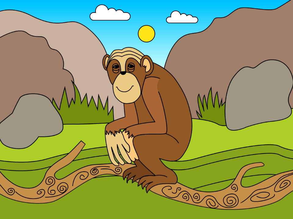 Chimpanzee