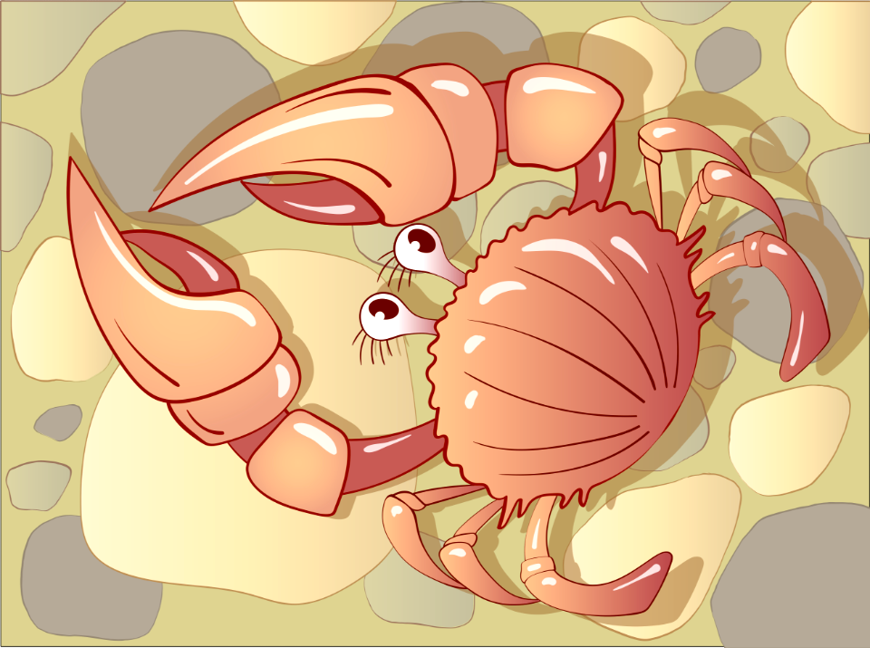 Crab