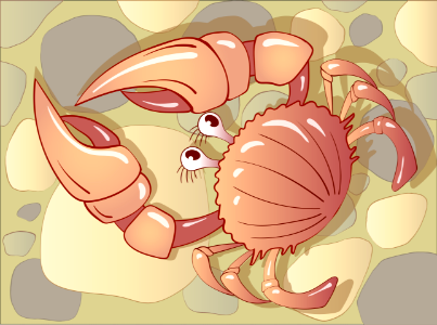 Crab