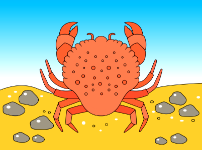 Crab