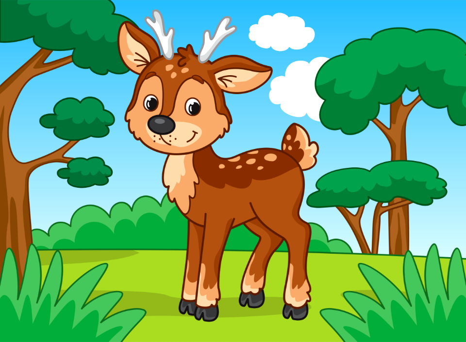 Deer