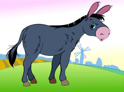 Donkey