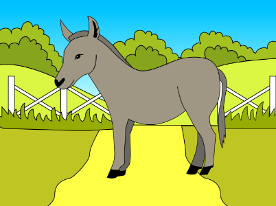 Donkey