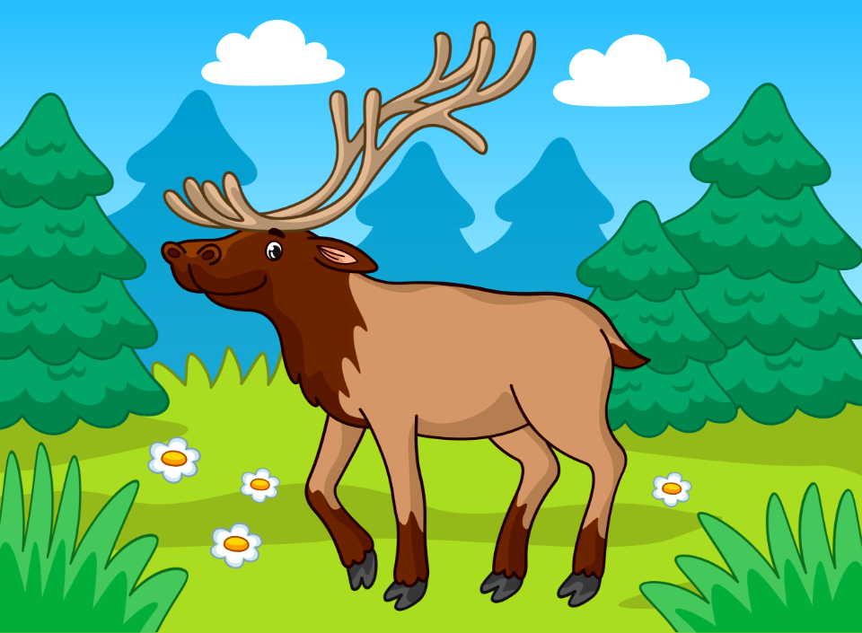 Elk