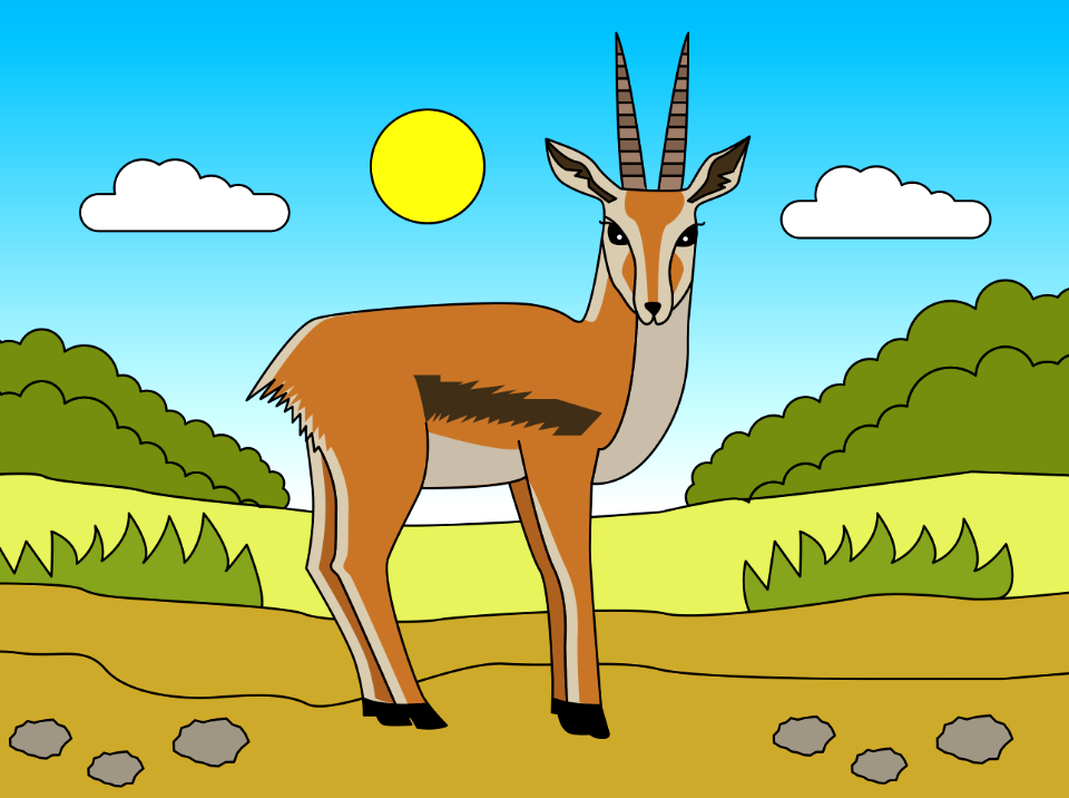 Gazelle
