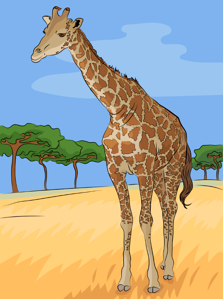 Giraffe