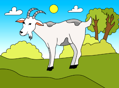 Goat