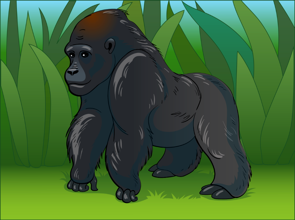 Gorilla