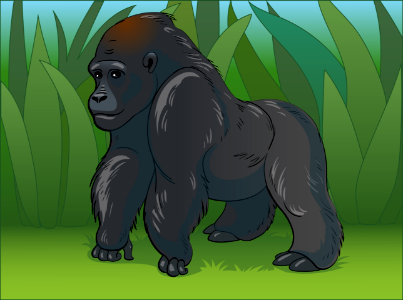 Gorilla