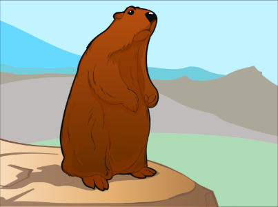 Groundhog