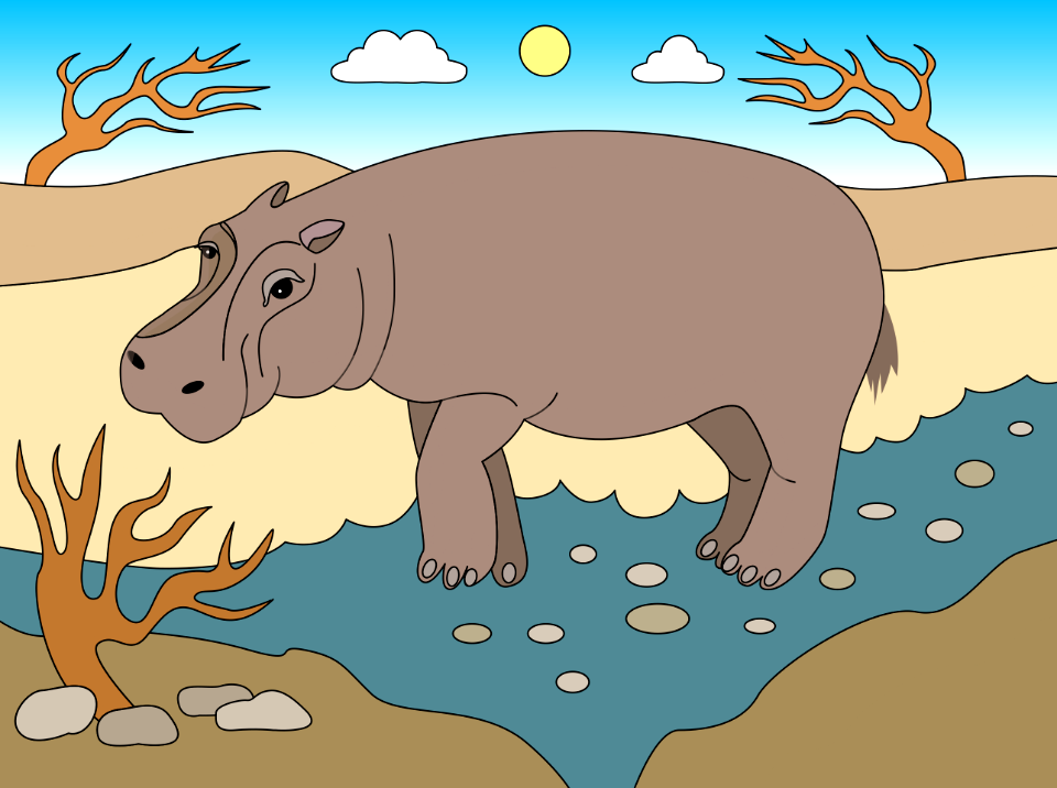 Hippo