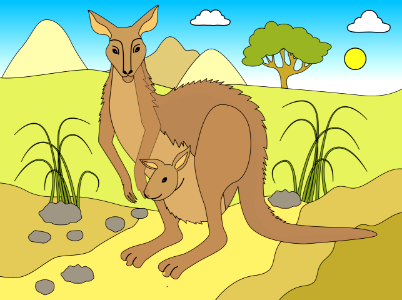 Kangaroo
