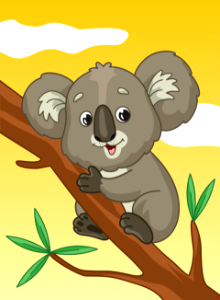 Koala