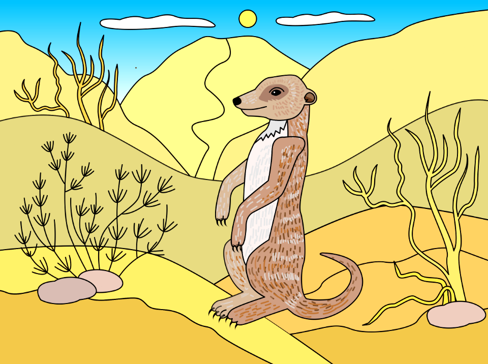 Meerkat