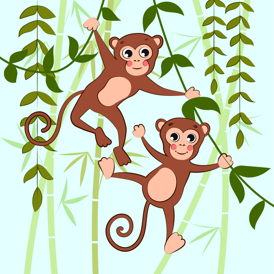 Monkey